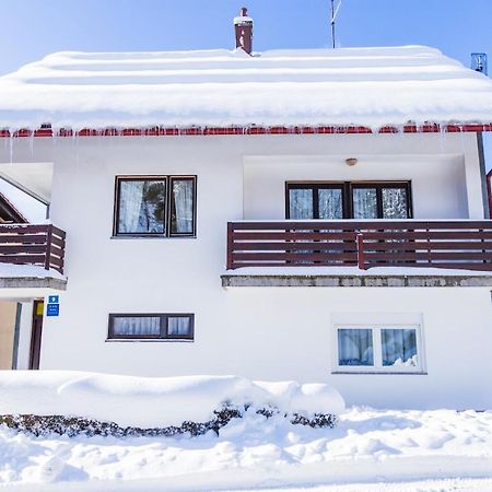 Apartman Japlenski Delnice Eksteriør bilde